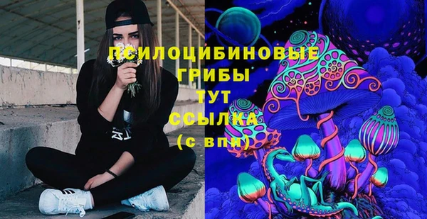 ГАЛЛЮЦИНОГЕННЫЕ ГРИБЫ Володарск
