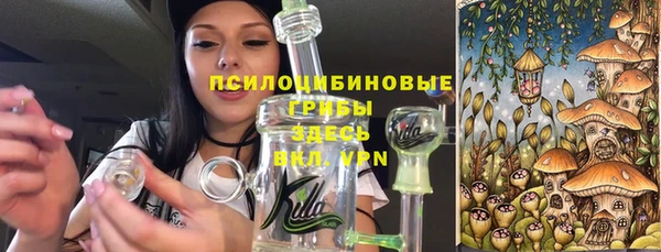 МДПВ Верхний Тагил