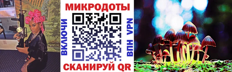 Псилоцибиновые грибы прущие грибы Купить закладки Кирсанов
